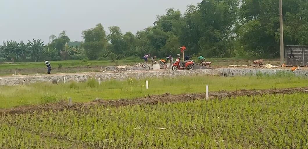 Kavling Feri Jaya Di Duga Tanpa Mengantongi Ijin Apalagi SHM Jelas Tidak Bisa Di Kavling
