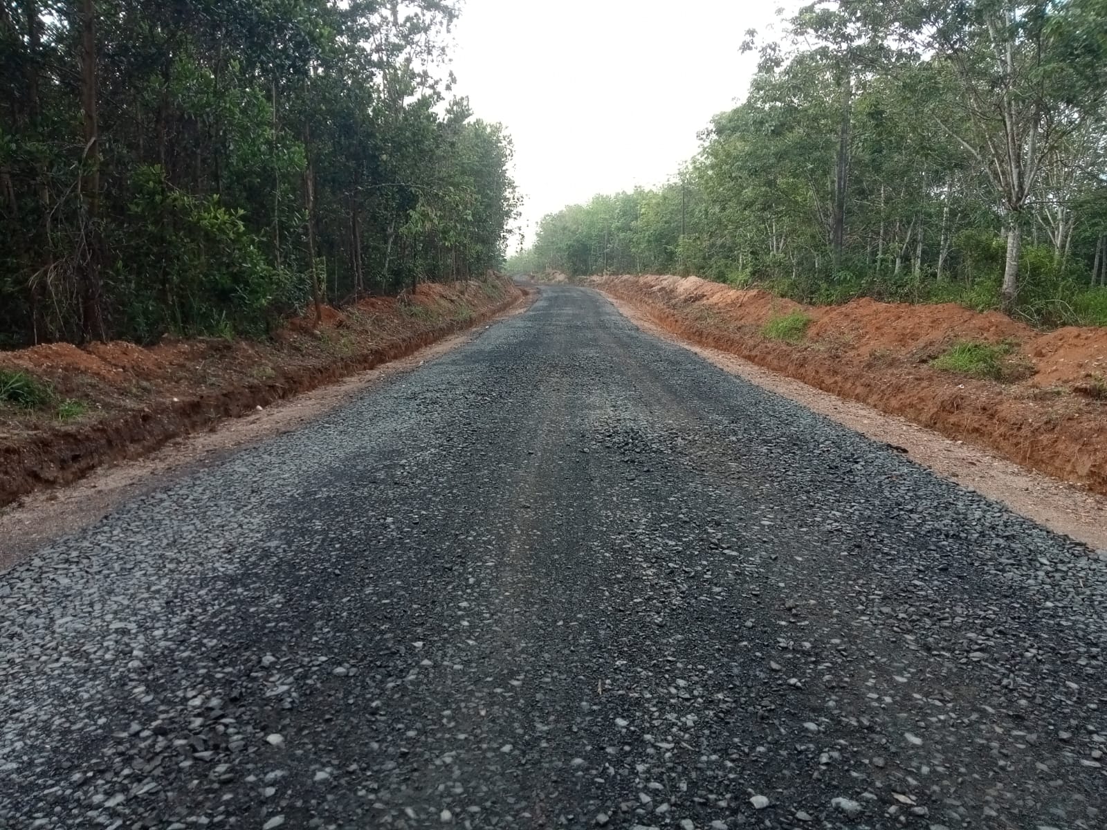 Proyek dijalan Provinsi diduga Milik Pejabat diwaykanan, abaikan Aturan patut dicurigai proyek tersebut tidak dilaksanakan sesuai prosedur sejak awal