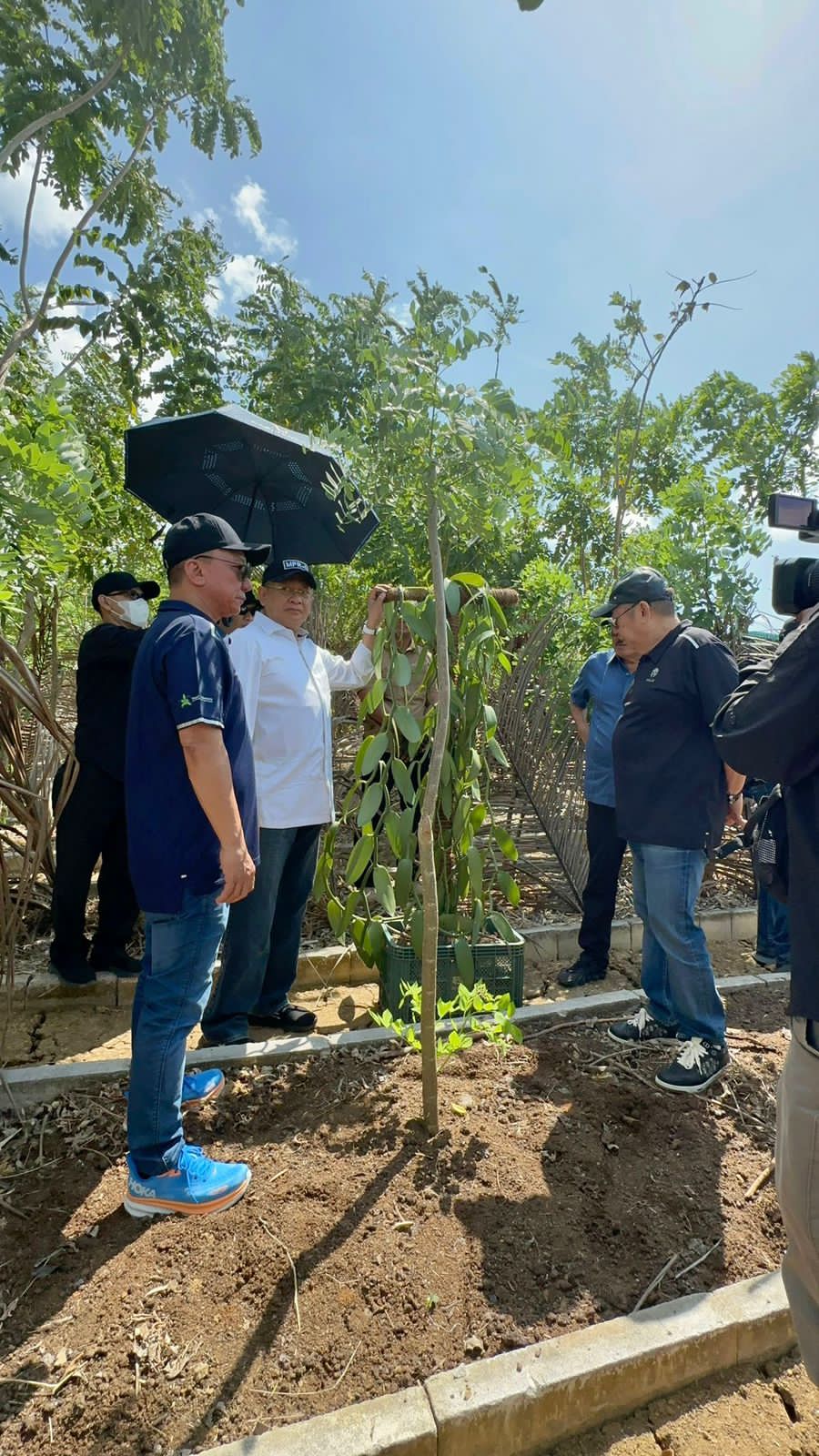 Ketua MPR RI Bamsoet Dukung Pembangunan Perkebunan dan Pembibitan Vanili Terbesar Dunia di Tanjung Lesung