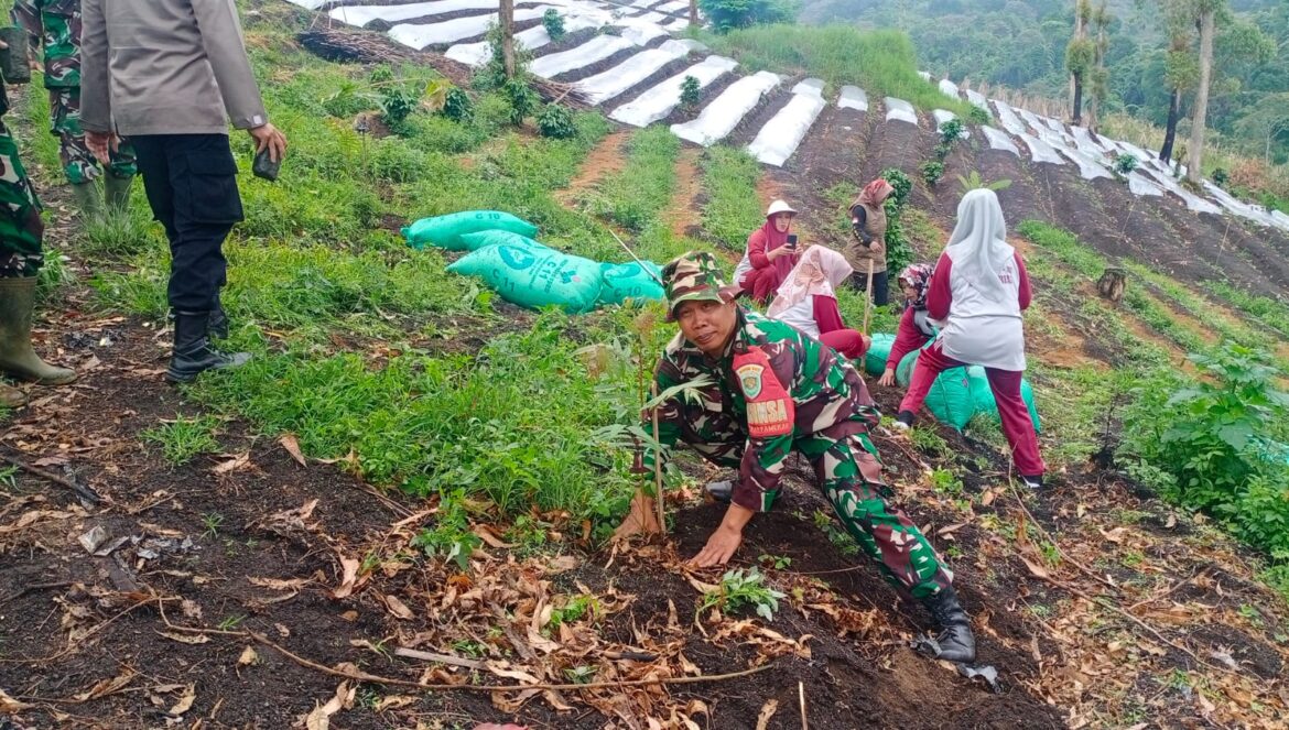 Danramil 1112/Samarang Kodim 0611/Garut Sebut Penanaman Pohon Hari Ini Untuk Ketersediaan Oksigen Masa Depan