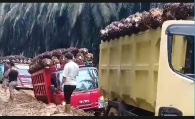 Jalan Poros tiga desa muara jaya, desa kota baru, dan Desa Kota Raya Rusak Parah Terkesan Perusahaan Tutup Mata