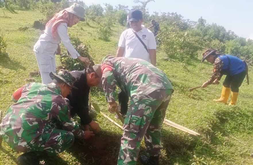 Aksi Tanam 1.000 Pohon di Gunung Lio Salem