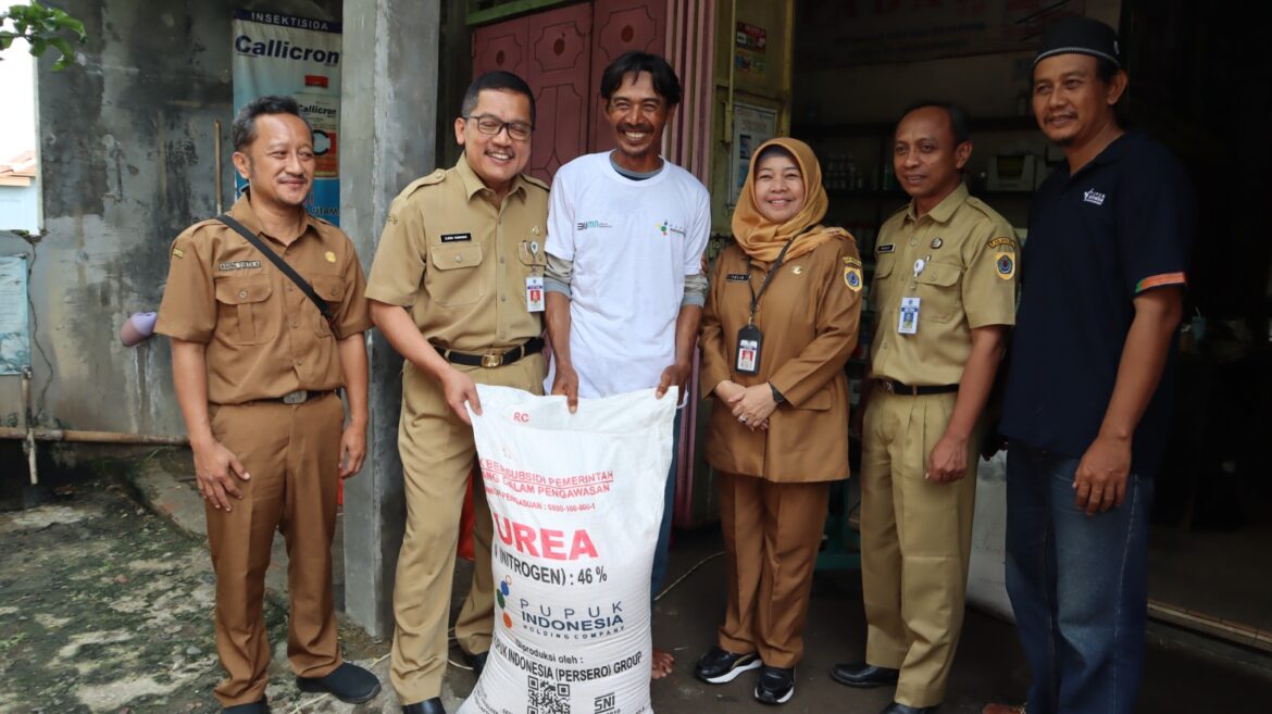 iPubers Cara Mudah Petani Dapatkan Pupuk Bersubsidi