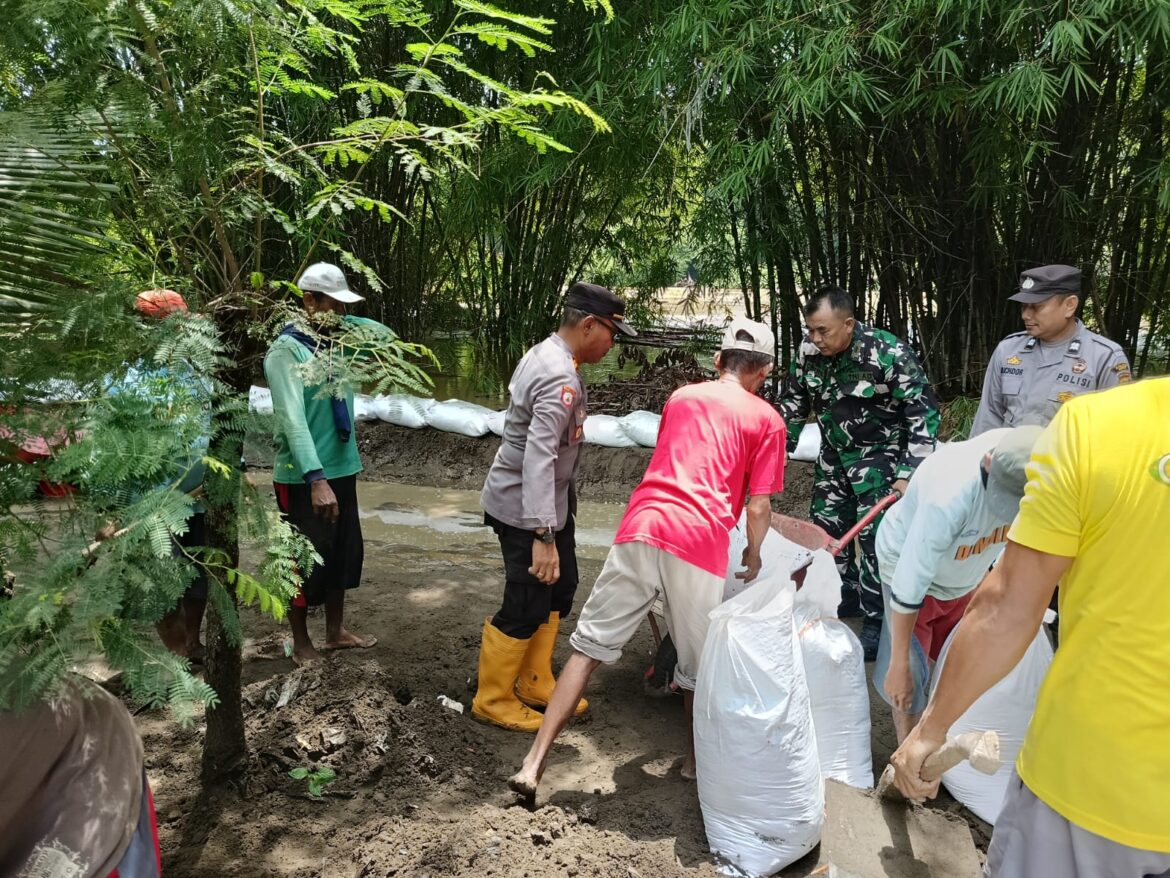 Gotong Royong Tinggikan Tanggul Kali Pemali di Desa Jagalempeni
