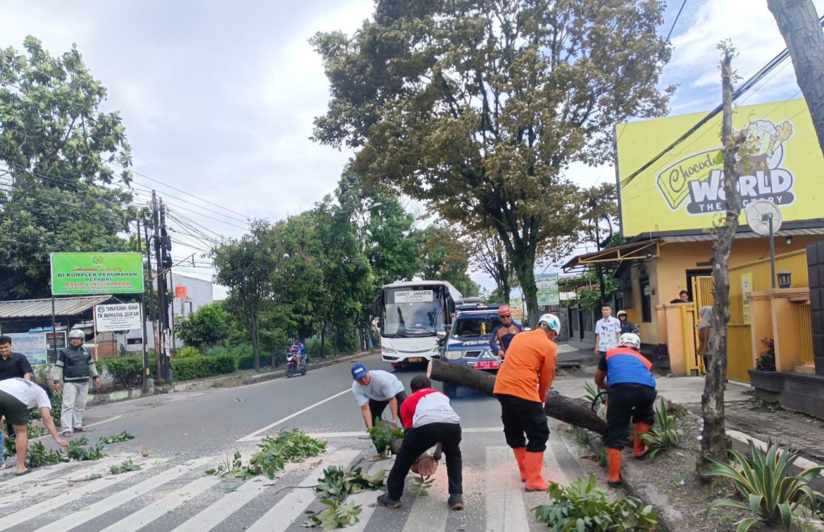 _Akibat angin kencang, beberapa pohon tumbang di Kelurahan Pananjung dan Desa Pasawahan Kecamatan Tarogong Kaler
