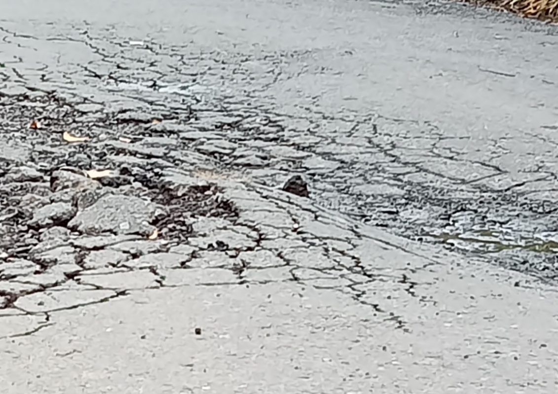 Telan Dana Rp30 M, Kondisi Jalan Dangka Mangkang-Watu Nggong Sangat Memprihatinkan