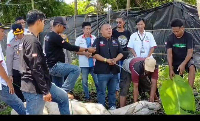 Jelang Hari raya Idul Fitri DPD IWO I Pringsewu Adakan Pemotongan Sapi