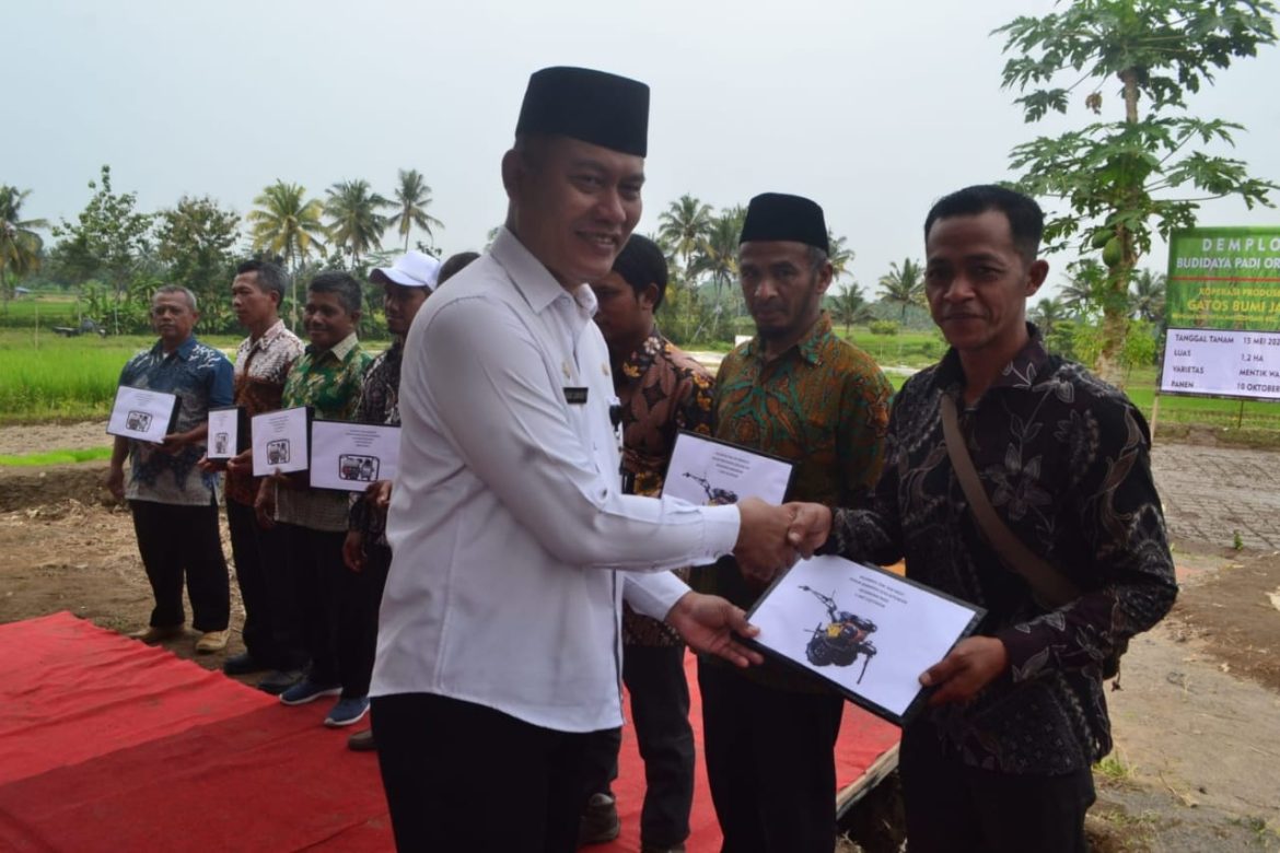 Distan Pangan Bagikan Ratusan Alat Pertanian, Antisipasi Kemarau