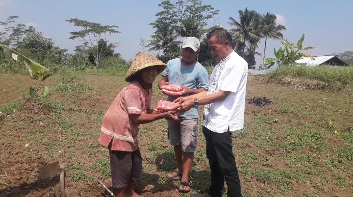 DPD Forkompenab Jateng Berikan Bantuan Benih Jagung Untuk Poktan Sami Karya Samirono Krincing Secang Magelang