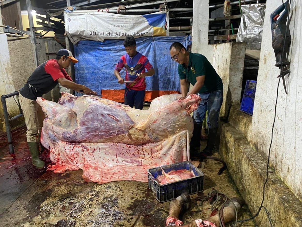Viral Diduga RPH Cicalengka Kota Bandung Tidak Mengantongi Izin! 
