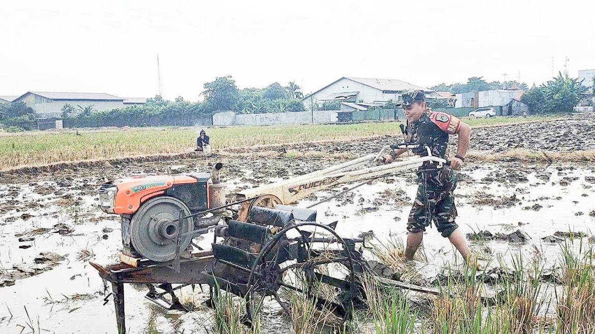 Demi Sukseskan Program Hanpangan, Babinsa Pegambiran Terjun Kesawah