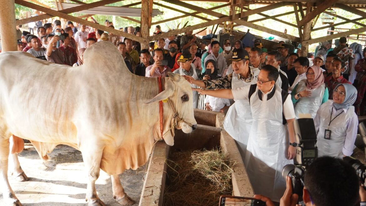 Pj Gubernur Jatim ; Proyeksi Kebutuhan Hewan Kurban Naik Sekitar 22%