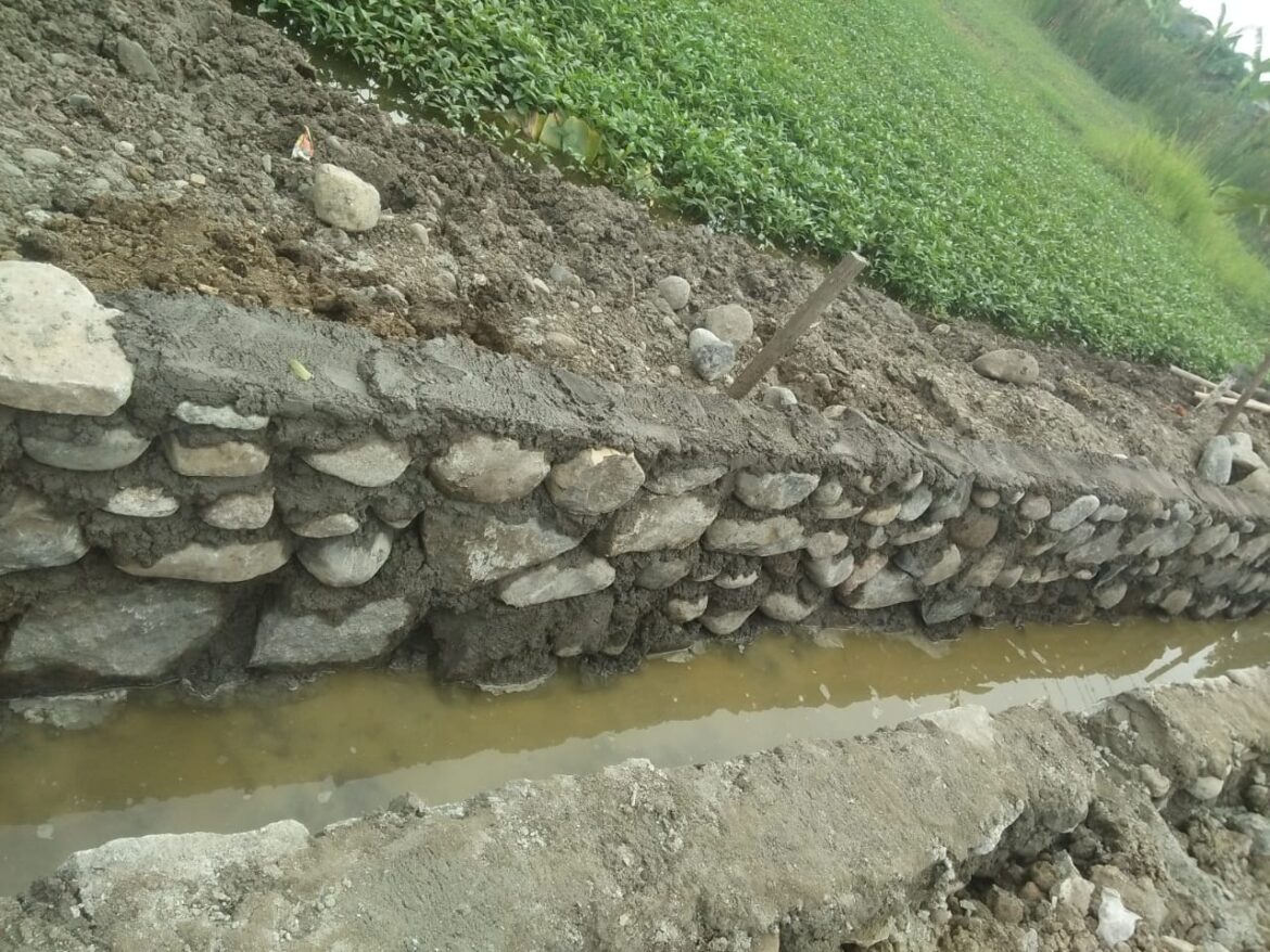 Pekerjaan Drainase Program Kegiatan DD 2024 Desa Sigentong Banyak Menggunakan Material Batu Blonos