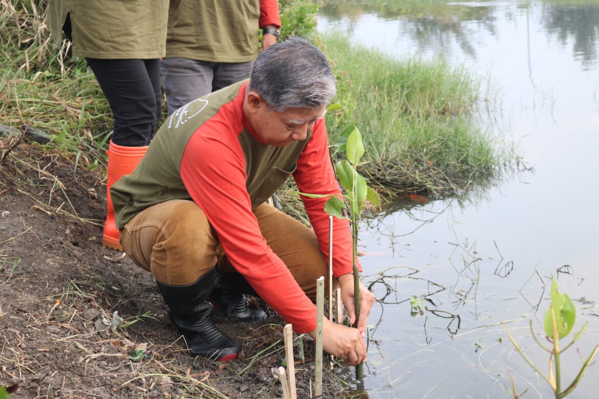 Dadang Bersama Komunitas dan Pecinta Lingkungan, Tanam Mangrove di Kawasan Sungai Siwatu