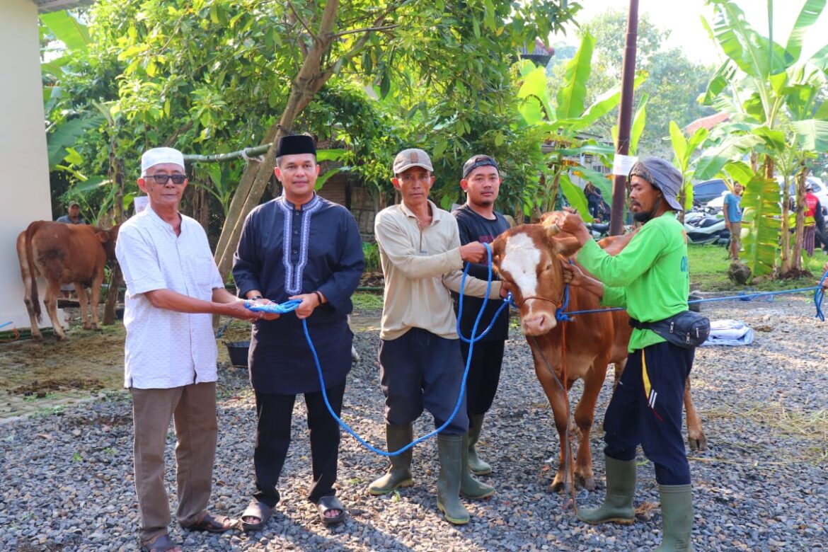 Polres Pekalongan Kurban 7 Sapi dan 2 Kambing, Diantaranya Disalurkan ke Takmir Masjid dan Pondok Pesantren