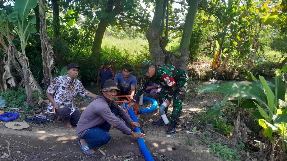 Komitmen Koramil 0620-16/Gempol Dukung Program Ketahanan Pangan