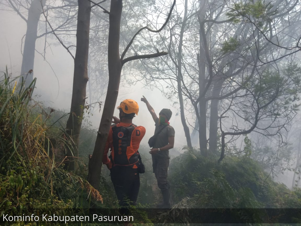 Bukit Naga Kawasan Bromo Alami Kebakaran