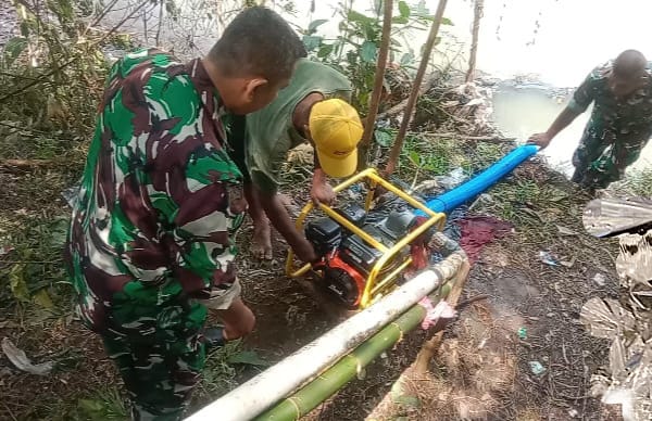 Pompanisasi Lahan Sawah Poktan, Babinsa Sukseskan Hanpangan
