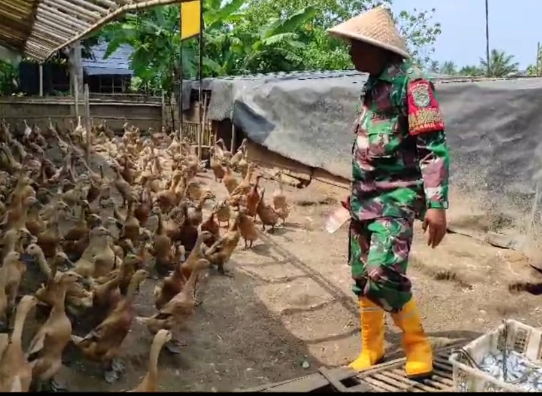 Babinsa Desa Kohod, Serda Sumono, Luncurkan Program Percontohan Ekonomi Kreatif dengan Beternak Bebek Petelur
