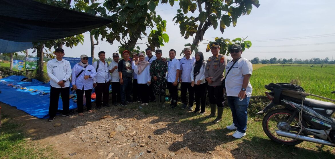 Danramil 0620-09 /Karangsembung Lakukan Pendampingan Panen Perdana Padi Demplot Varitas Pajajaran