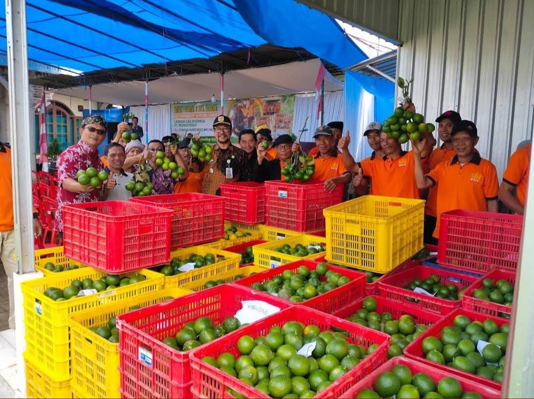 Kesuksesan Petani Jeruk Lemon Berbasis Kemitraan Bersama CV Bintang Mandiri Sukses (BMS)