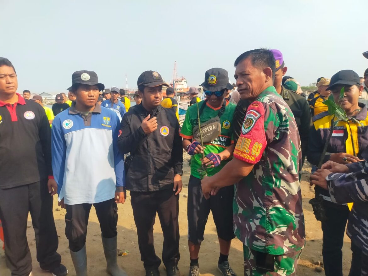 Cegah Erosi Pantai,  Danramil 1403 / Lemahwungkuk dan Babinsa Ikut Tanam 10.000 Mangrove