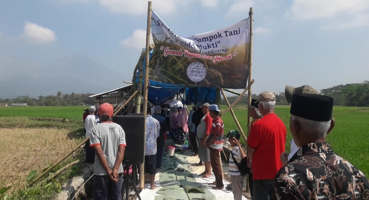 Acara Shafaran Poktan Sido Mukti Dusun Setan, Berlangsung di Tengah Sawah