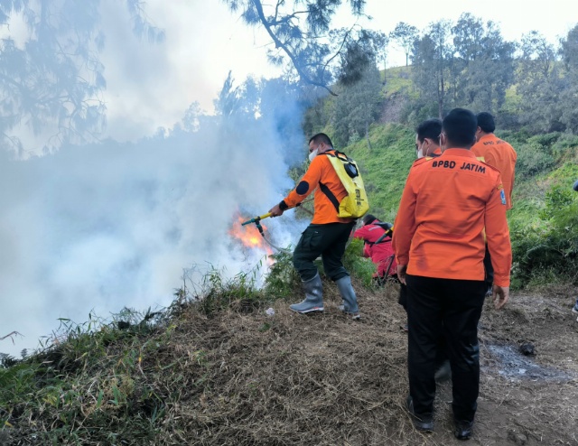 Tim BPBD Jatim Padamkan Api Karhutla di Penanjakan Gunung Bromo