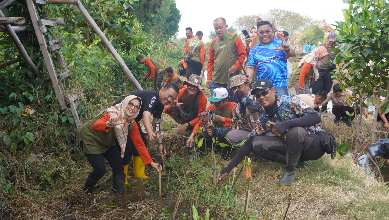 Tanam 1.500 Mangrove, Upaya Nyata Kota Tegal Dalam Melestarikan Lingkungan