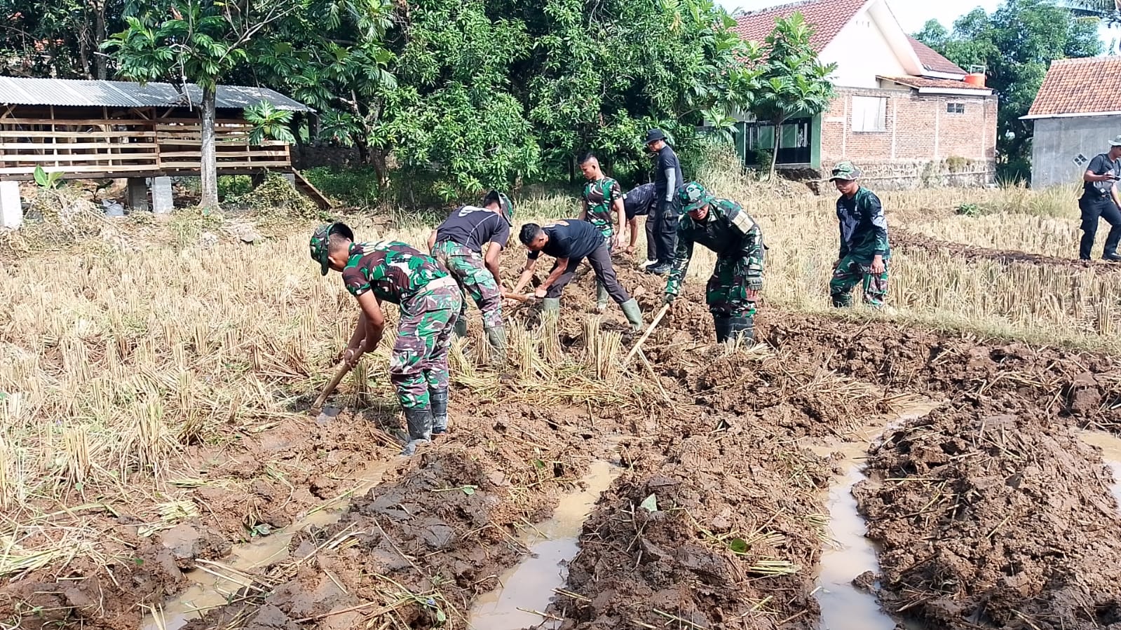Dukung Ketahanan Pangan Satgas TMMD ke-121 Bantu Petani di Sawah