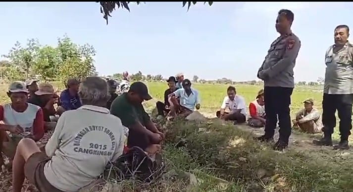 Kapolsek Kedokanbunder Blusukan ke Pesawahan, Dengarkan Keluhan Petani