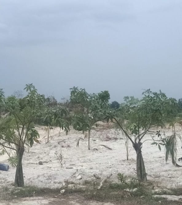 Melalui Program Praja Wibawa Green Sport Center, Sat Pol PP Provinsi Kepulauan Bangka Belitung Ubah Kolong Sepritus Jadi Tempat Wisata