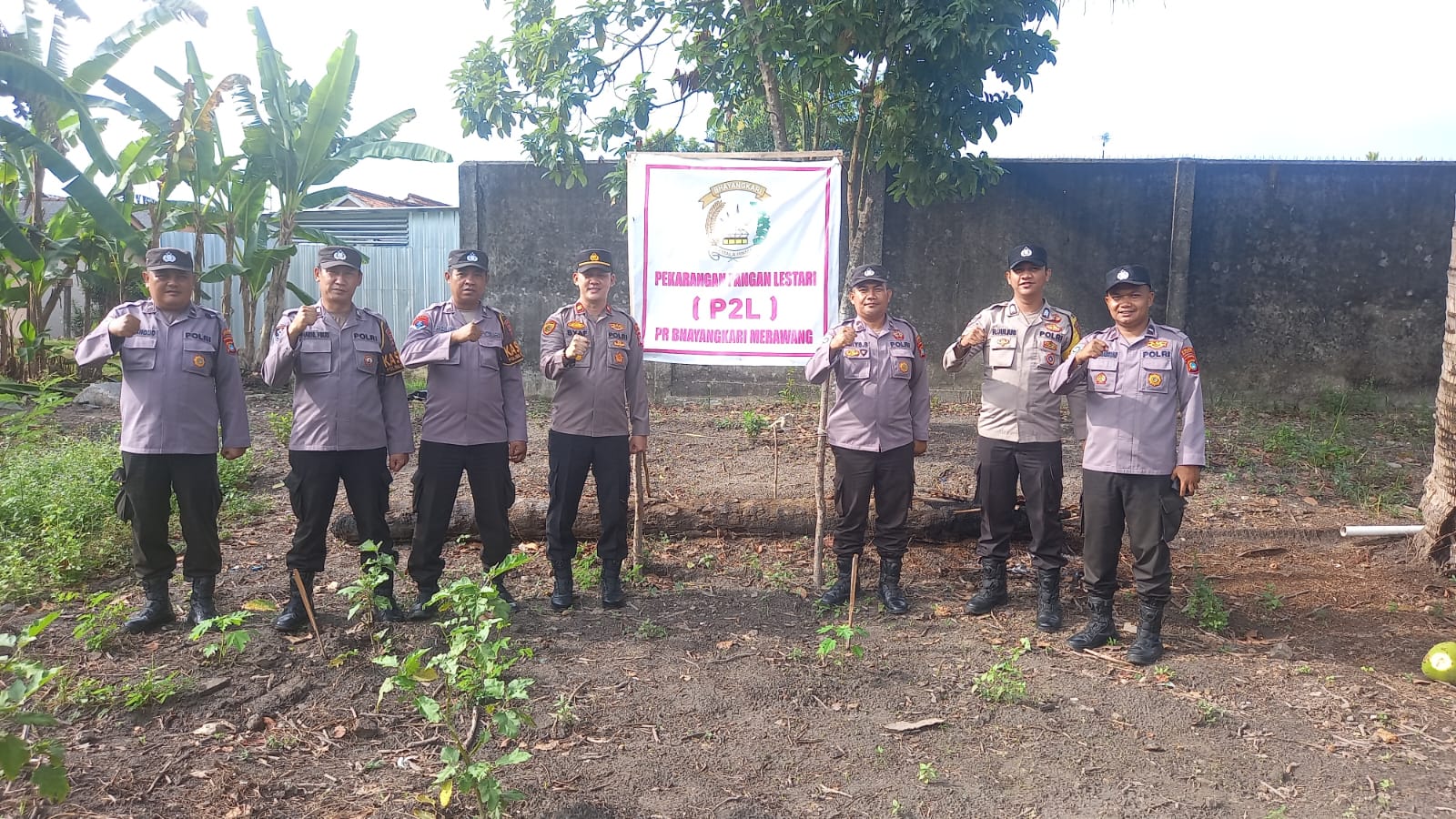 Polsek Merawang Panen Hasil Kebun P2L