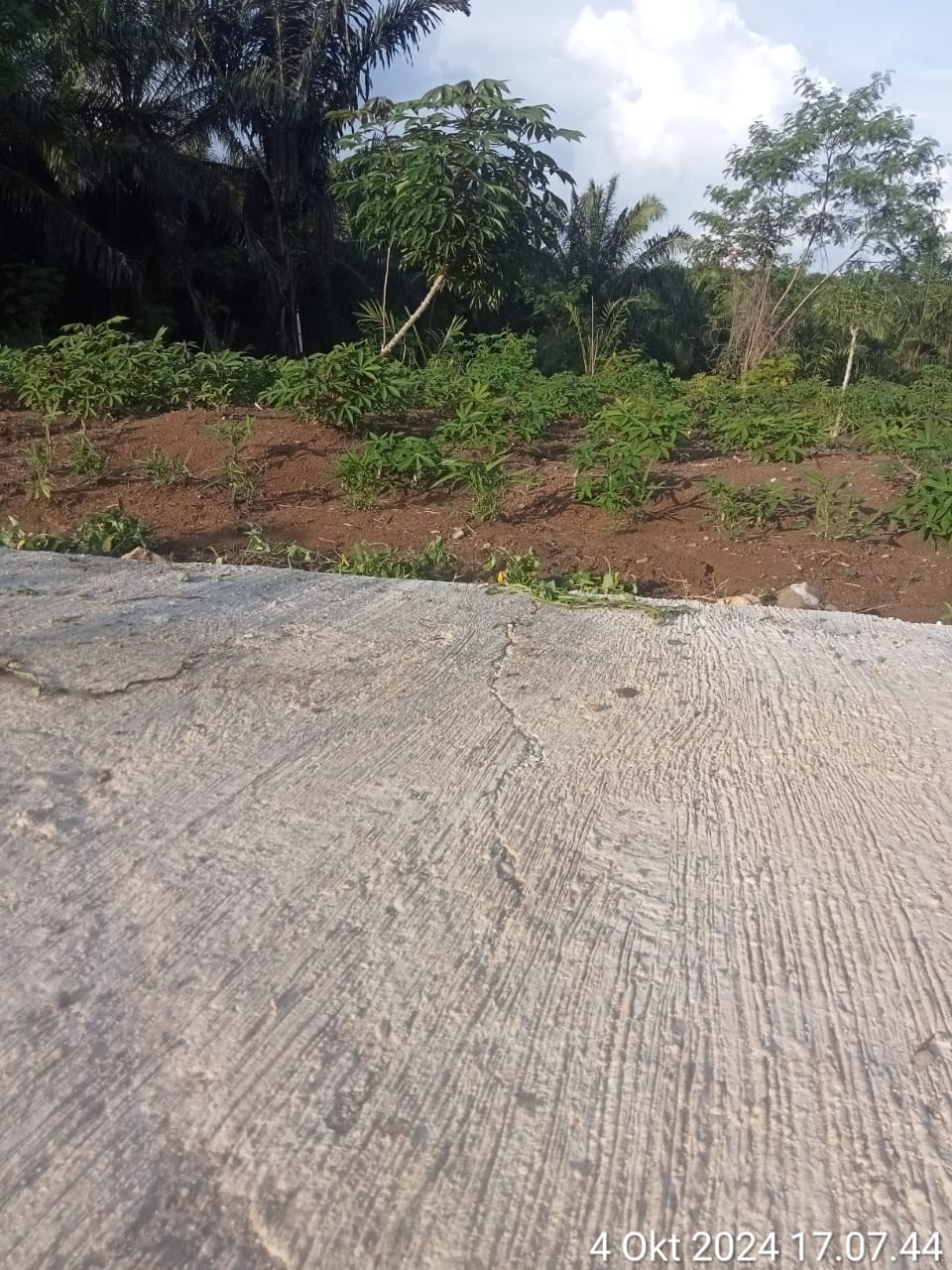 Baru Hitungan Bulan Selesai, Proyek Rabat Beton Jalan Jurusan Bukit Martajam -Sigama Parlimbatan Milik PU&TR Paluta Sudah Retak 