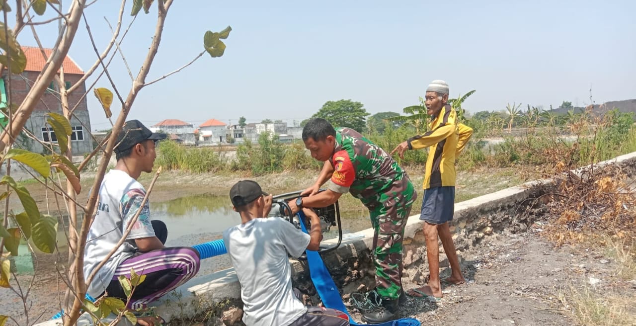 Babinsa Koramil 0817/11 Duduksampean Dampingi Petani Dalam Pengairan Sawah Untuk Penanaman Padi