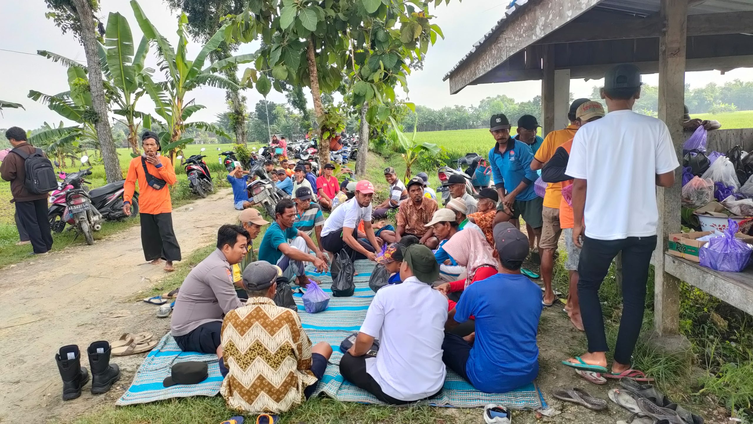 Gelorakan Swasembada Pangan di Ngawi, Polisi Gelar Methil Bersama Petani