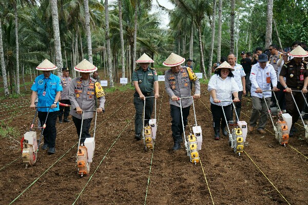 Polda Sulut dan Jajaran Dukung Ketahanan Pangan Nasional, Siapkan 100,4 Ha Lahan Jagung