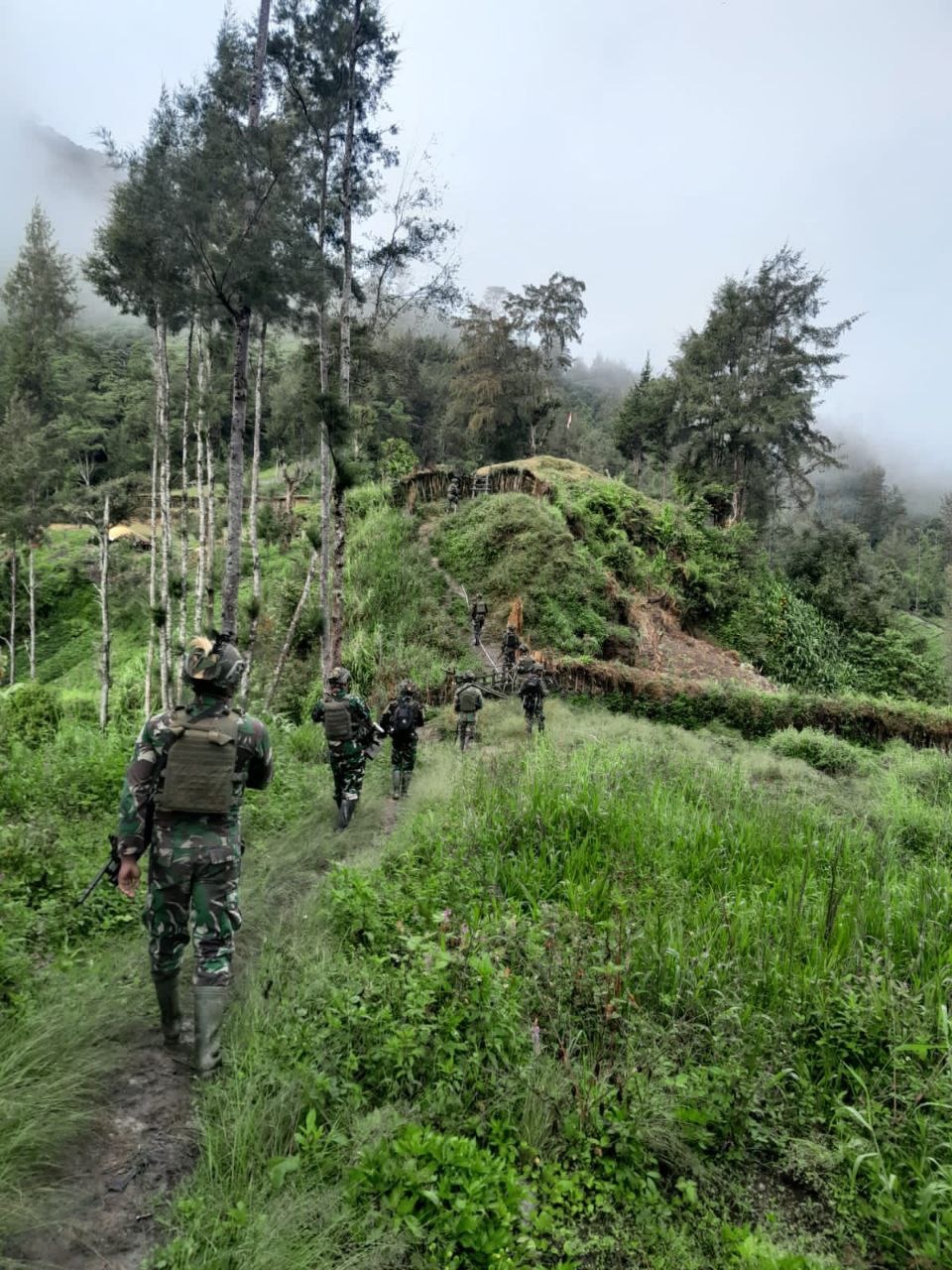 Satgas Mobile Yonif 323 Buaya Putih Kostrad Lumpuhkan Tokoh OPM di Puncak Papua