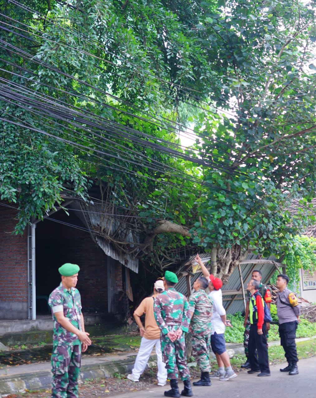 Fast Response Kodim 0719/Jepara: Tebang Pohon Berbahaya di Desa Saripan