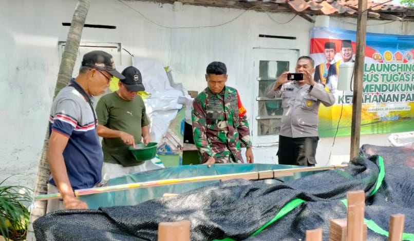 Babinsa Bersama Tiga Pilar Tinjau Budidaya Lele di Wilayah