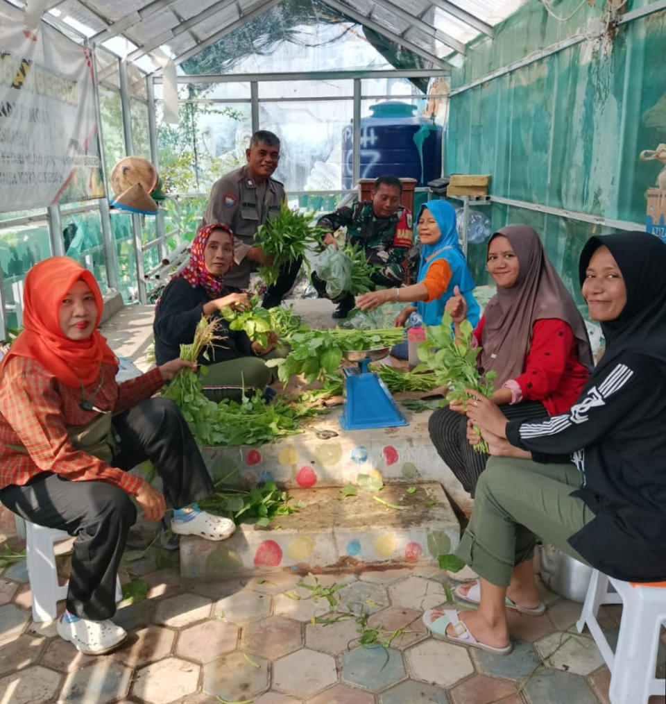 Babinsa Panen Kangkung, Dukung Program Hanpangan
