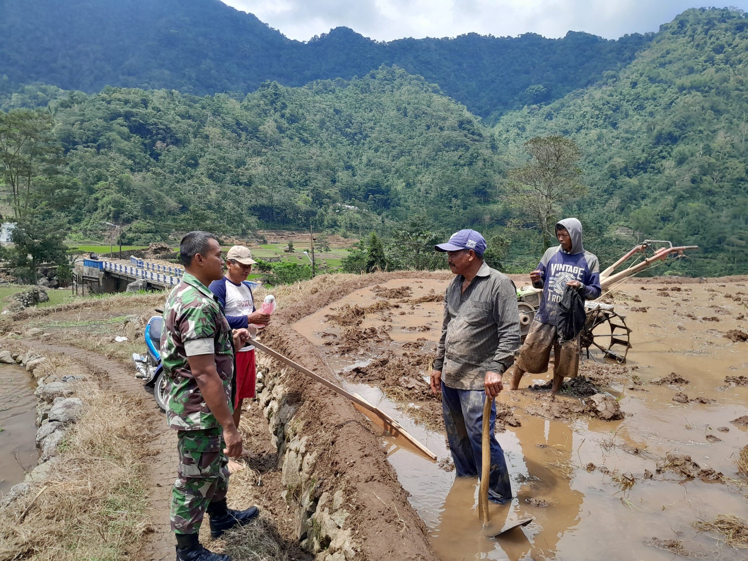 Dukung Program Ketahanan Pangan Nasional. Babinsa Kodim 0719/Jepara Lakukan Komsos di Persawahan Desa Tempur