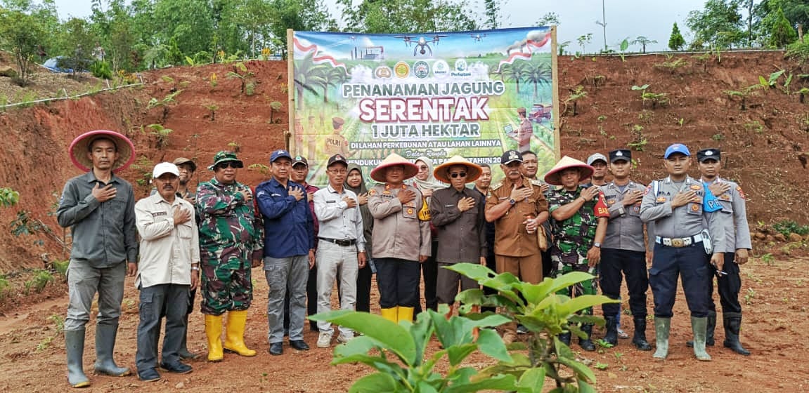 Penanaman Jagung 1 Juta Hektar di Kabupaten Majalengka Langkah Konkret Dukung Ketahanan Pangan