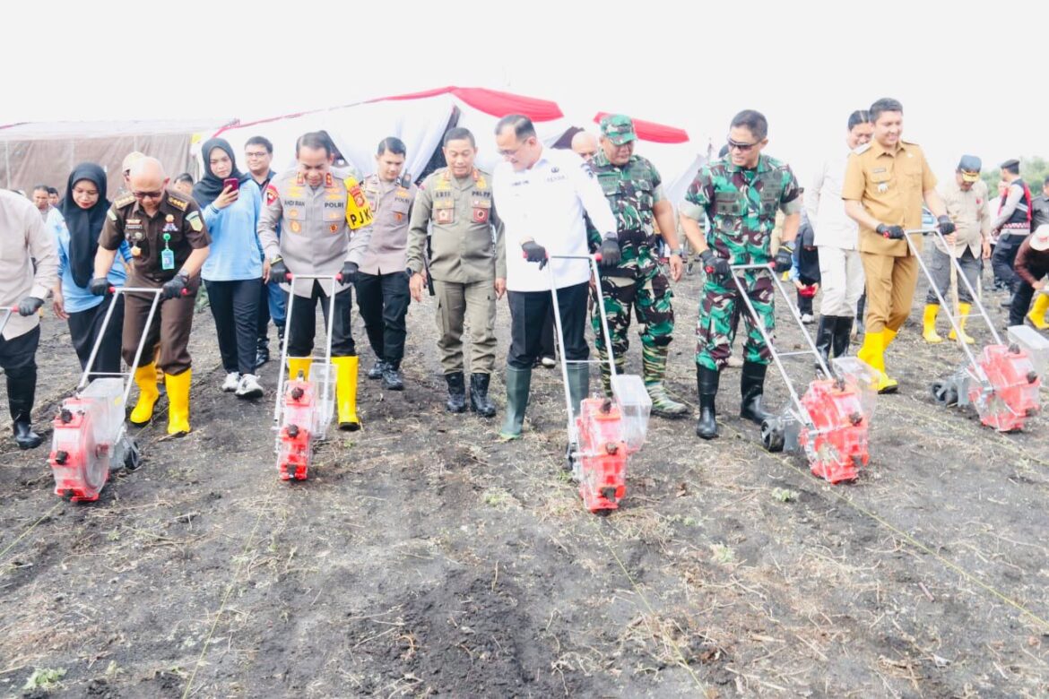 Dipusatkan di Kabupaten Ogan Ilir, Kapolda Sumsel Bersama Pangdam II Sriwijaya Tanam Jagung di Program 1 Juta Hektar