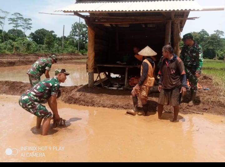 Babinsa Kodim 0719 / Jepara Dampingi Gapoktan Subur Gunung dalam Pemeliharaan Padi Masa Tanam I