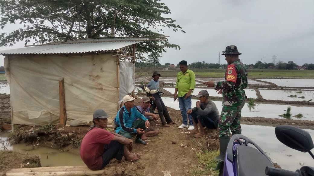 Anjangsana dI pesawahan Babinsa Luwung Kencana Koramil 0620-18 / Susukan ,Giat kan Komsos