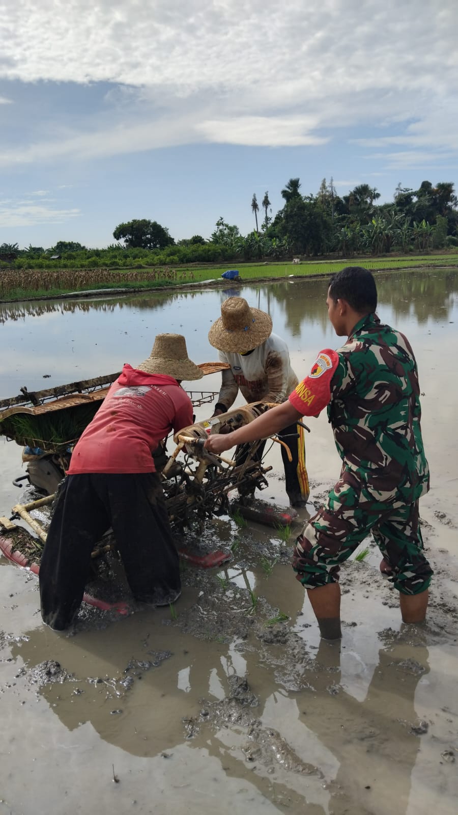 Babinsa Koramil 0817-13/Ujung Pangkah Dampingi Petani di Desa Kebonagung