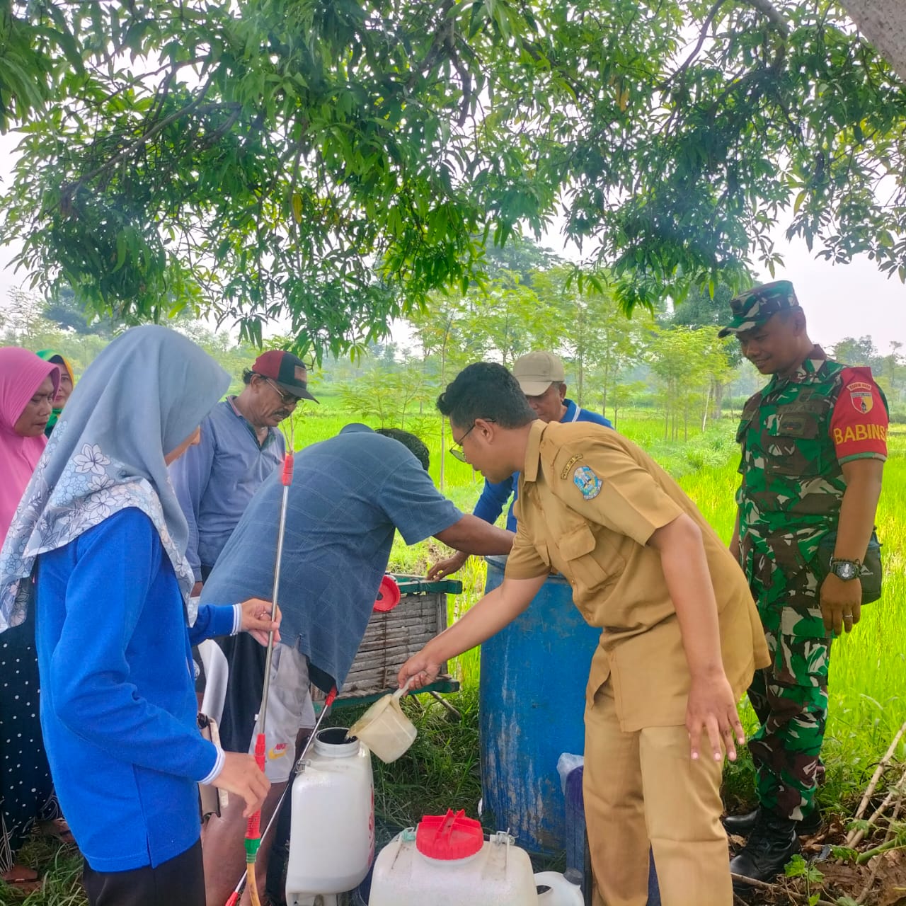 Antisipasi Hama Wereng, Babinsa Modung Melakukan Pendampingan Ke Petani