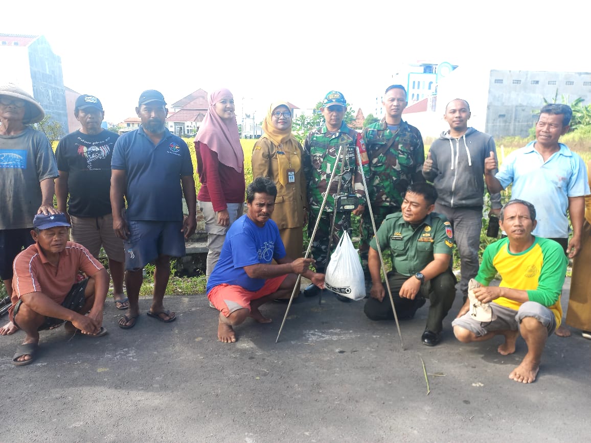 Babinsa Banyuanyar Bersama Dengan BPS dan PPL Laksanakan Pengubinan Padi, ini Tujuanya