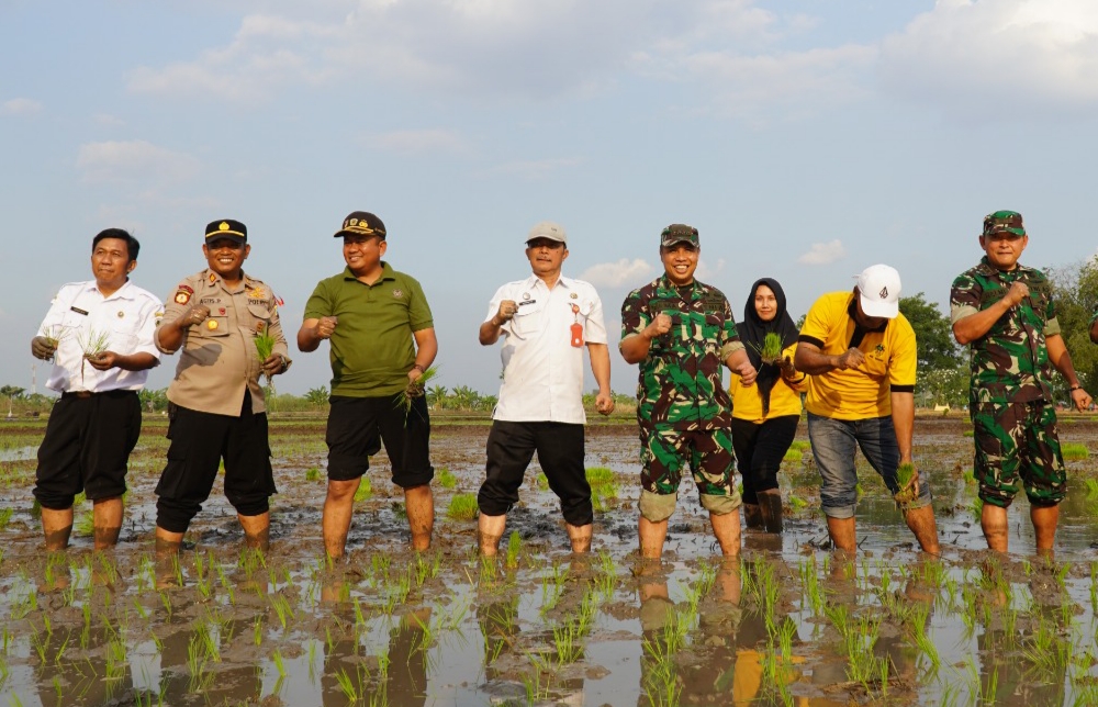 Menggapai Bintang di Tanah Mataraman